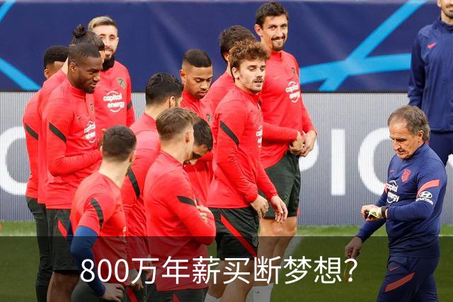 800万年薪买断梦想？